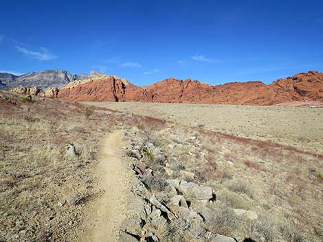 Ride Share Deluxe Loop Trail