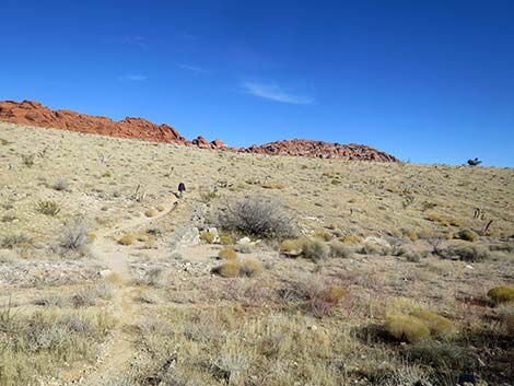 Ride Share Deluxe Loop Trail