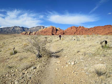 Ride Share Deluxe Loop Trail