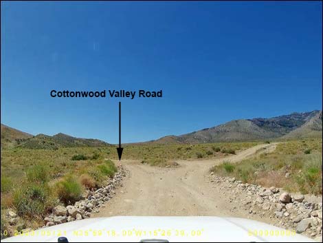 Cottonwood Valley Road