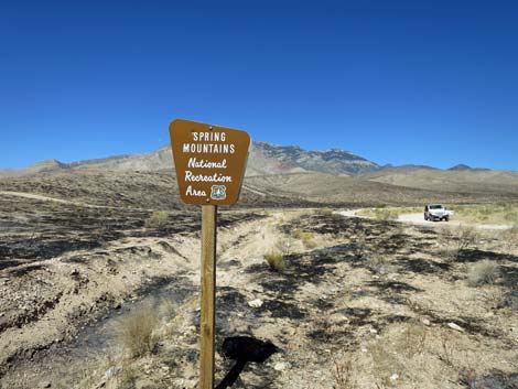 Cottonwood Valley Road