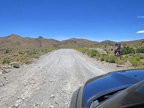 Cottonwood Valley Road