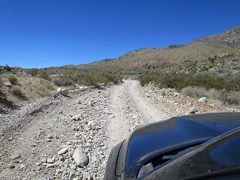 Cottonwood Valley Road