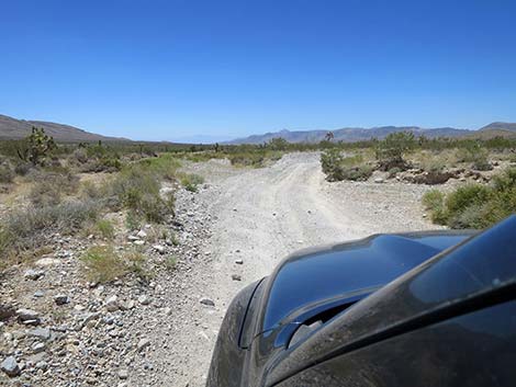 Cottonwood Valley Road