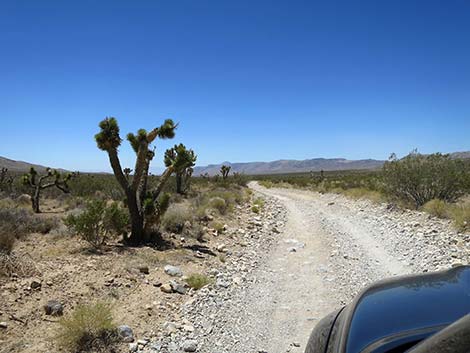 Cottonwood Valley Road
