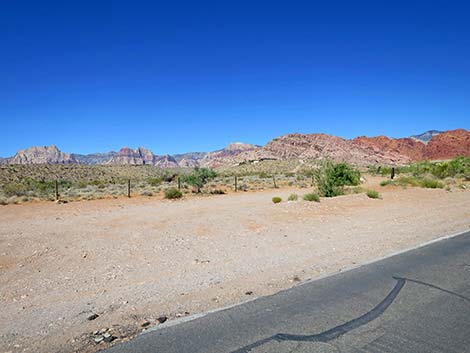 Calico Basin Road