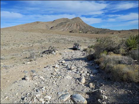 Ninetynine Mine Road