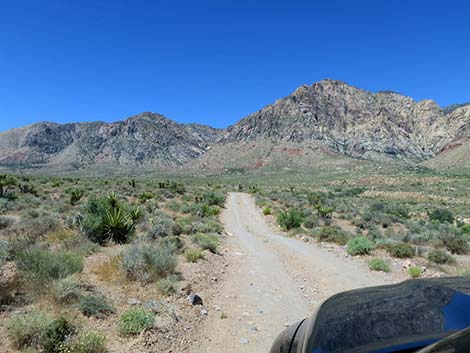 Lone Grapevine Road