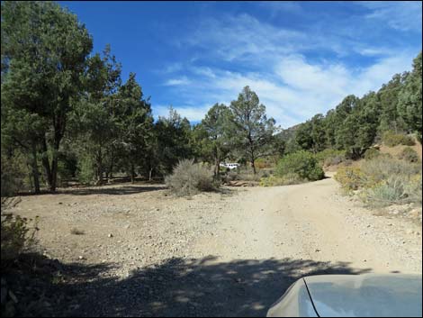 Lovell Canyon Road