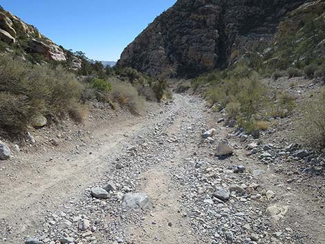 White Rock Loop Trail