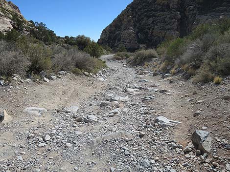 White Rock Loop Trail