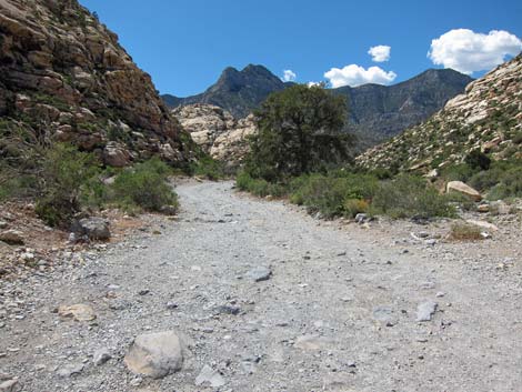 Rocky Gap Road