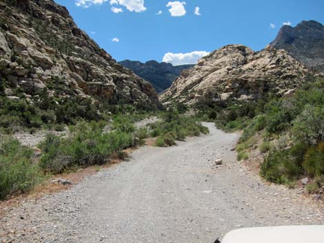 Rocky Gap Road