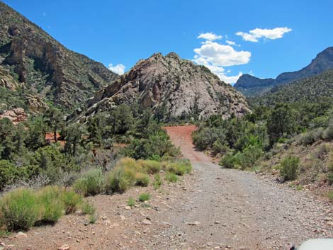 Rocky Gap Road