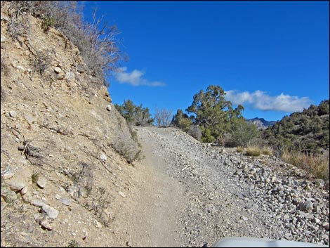 Rocky Gap Road