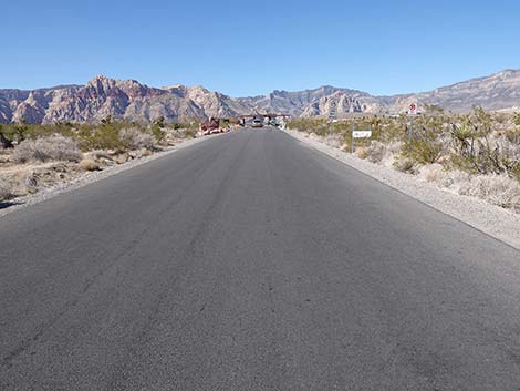 Scenic Loop Road