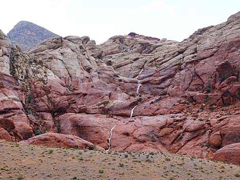 Scenic Loop Road