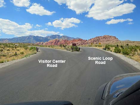 Scenic Loop Road