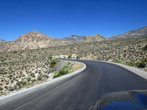 Scenic Loop Road