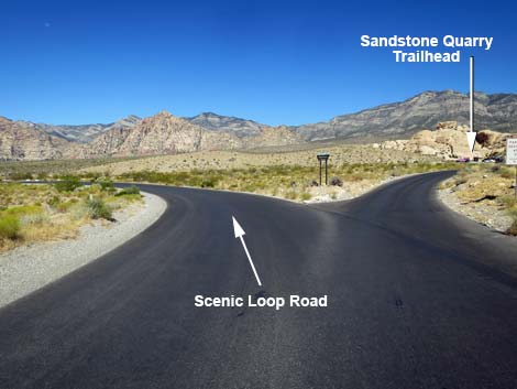 Scenic Loop Road