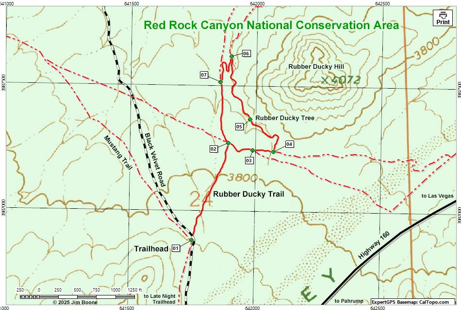 Lone Grapevine Spring Trail Map