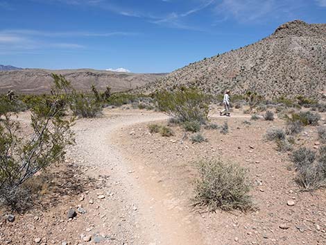 Rubber Ducky Trail