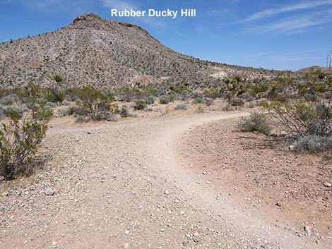 Rubber Ducky Trail