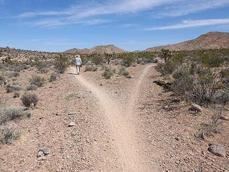 Rubber Ducky Trail