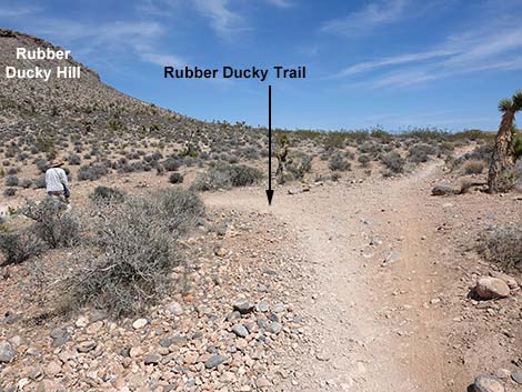Rubber Ducky Trail