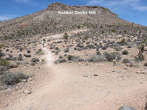 Rubber Ducky Trail