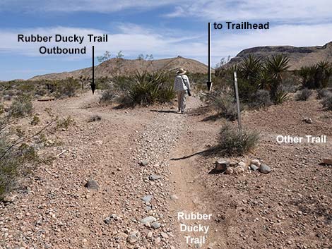 Rubber Ducky Trail