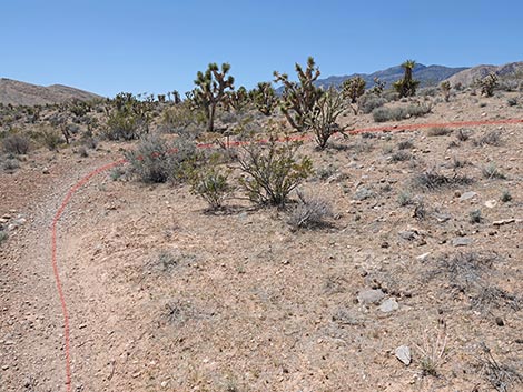 Rubber Ducky Trail