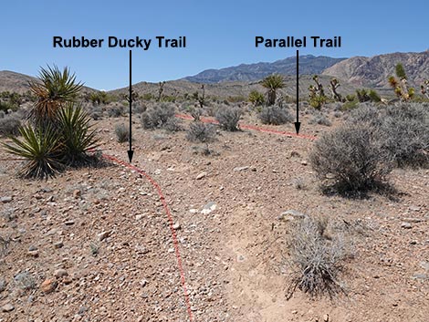 Rubber Ducky Trail