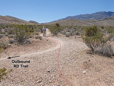 Rubber Ducky Trail