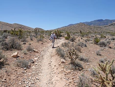 Rubber Ducky Trail