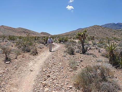 Rubber Ducky Trail
