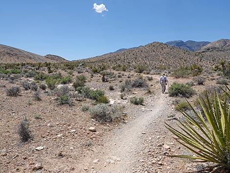 Rubber Ducky Trail