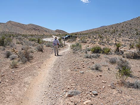 Rubber Ducky Trail