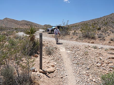 Rubber Ducky Trail