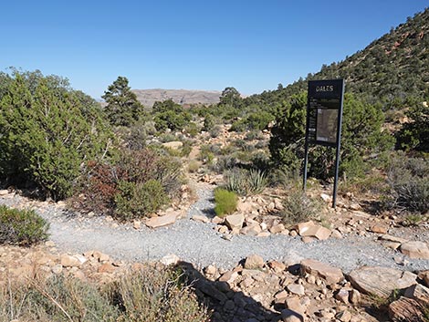 Escarpment Trail