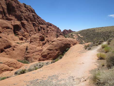 Calico Hills Trail - Sandstone Quarry to Calico 1