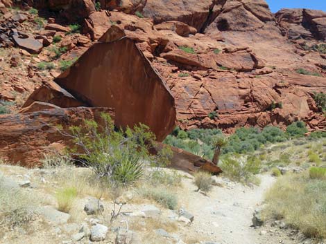 Calico Hills Trail - Sandstone Quarry to Calico 1