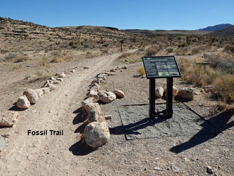 Cowboy Trail Rides Trailhead