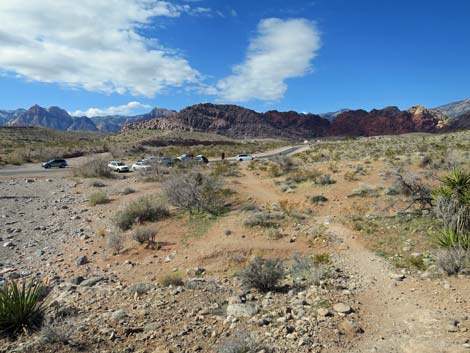 Genes Trailhead