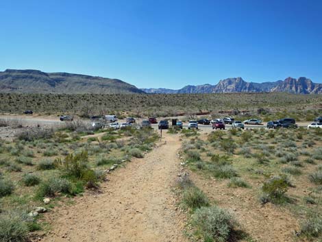 Genes Trailhead