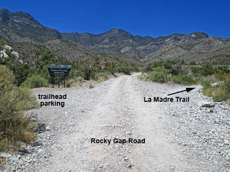 La Madre Spring Trail