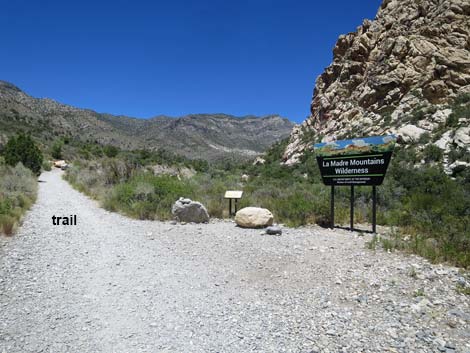 La Madre Mountain Wilderness Area