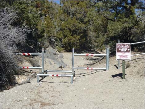 Ranbow Spring Trailhead