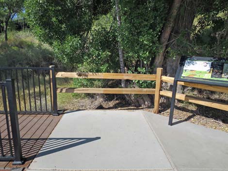 Red Spring Boardwalk