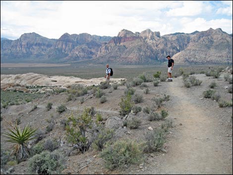 Turtlehead Peak